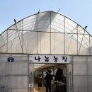 복수농장 | 파주 나눔농장 | 18개월 아기와 실내 동물원 • 입장료 • 내돈내산 후기