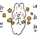 라 비 채 이미지