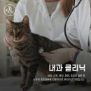 잠실베스트동물메디컬센터 네이버블로그