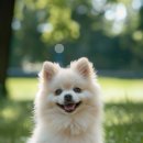 뉴로동물의료센터 이미지