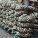 벌교전통시장 이미지