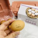 푸름농장2 이미지