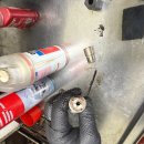 카센타 TM 이미지