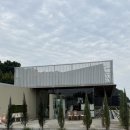 당하로 | [용인/남사] 주말 한적한 브런치 카페 추천 호텔북리 내돈내산 솔직후기 애견동반 가능