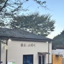 꽃길펜션 | 산청 오스테이 글램핑앤한옥펜션 후기, 자연 속 감성 충전