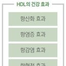 HDL 이미지