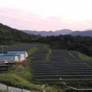 글로리태양광발전소 이미지