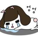 월드게임랜드 이미지