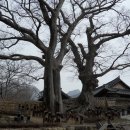 대운여관 이미지