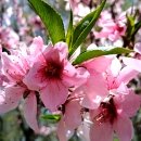 서정욱 변호사가 또? 한덕수 대선 필승전략(?) 유출 ㄷㄷ 이미지