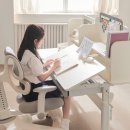 H1245 | 소르니아 책상 장점 리뷰 및 46% 할인구매 방법