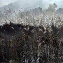 도화동산 이미지