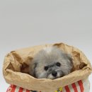 그루밍부스 이미지