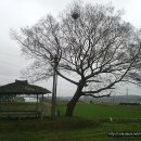 노송2리 마을회관 이미지