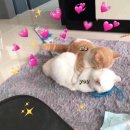 데이리에 이미지