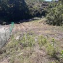 전원오토캠핑장 이미지