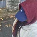 보이스 배틀 다온공연 | 00337788