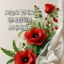 ♤진실을 식별하는 힘: 통찰력♧ 이미지