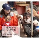 유미사 이미지