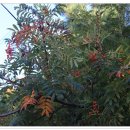 해안민박 이미지