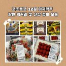 오케이미트(주) - 강남구 신사동 | 코스트코 하남 12월 다섯째주 할인 정보 신상 추천 리스트