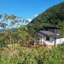 박문수 공인중개사사무소 이미지