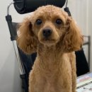 굴포천역 6번 출구 이미지