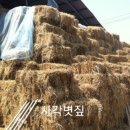 늘푸른산업