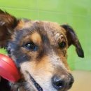 밥성형외과의원 이미지