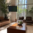 마리산부인과의원 | 호랑이와 용 출산병원 비교후기 1 (청담마리, 미래와희망 산부인과의원)