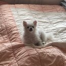 60계치킨봉곡점 | 11월