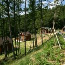 양촌시장 이미지