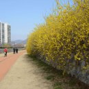 개나리민박 이미지