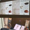 개발등 | [PROJECT] 프로메사(PROMESA) 개발 후기