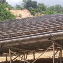 세서 태양광발전소 이미지