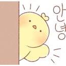 티그레스튜디오