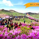 양지-3560 이미지