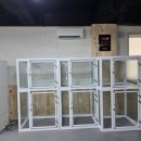 마루콩콩 이미지