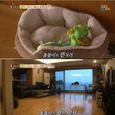 똘똘이농장 이미지