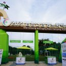 산삼휴양밸리(대봉캠핑랜드) 이미지