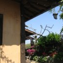 옛집황토방 이미지