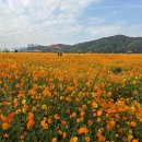 기흥호수공원 이미지