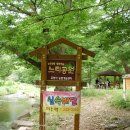 느티공원 이미지