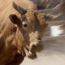 GOGO PC 게임랜드 이미지