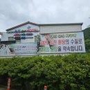 소담농장 | 포항 보경사맛집 소담쌈밥 🍃 내연산 산행 후 최고의 건강밥상