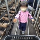 배곧새솔어린이집 이미지