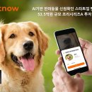 펫나우 이미지