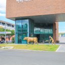 영천전통문화체험관 이미지