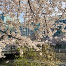 신나리세탁 이미지