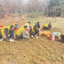 초롱꽃공원 이미지